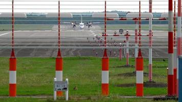 Turboprop airplane landing in Dusseldorf. European hare Lepus europaeus near runway. video