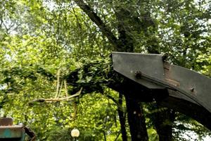 The work of a mobile shredder of dry branches and trees in a city park. Wood shredder. Workers recycle broken trees photo