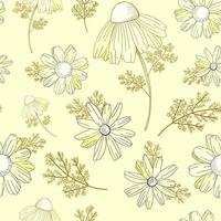 estampado de flores de época. patrón de flores silvestres. vieja textura. fondo beige, flores blancas. adonis, equinácea manzanilla ilustración vectorial vector