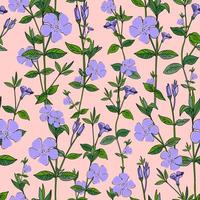 Blue flowers on a pink background. Periwinkle. Seamless summer pattern. vector