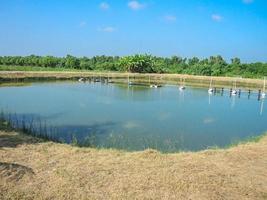 sistema de aireación de estanques de cultivo de peces o camarones al aire libre. foto