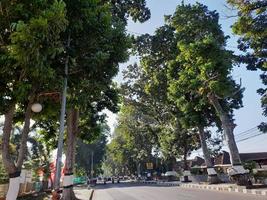 la atmósfera de la carretera en la isla de lombok, donde ambos lados de la carretera están cubiertos de árboles foto