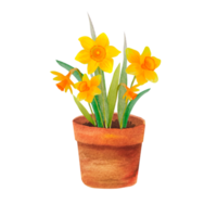 flores de primavera em aquarela nos vasos png