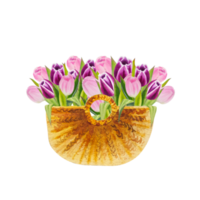 acuarela primavera rosa tulipanes flores png
