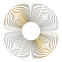 abstrakt 3d tolkning av guld sfär med kaotisk strukturera. trogen form. sci-fi bakgrund med trådmodell och klot png