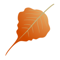 Autumn leaves PNG file