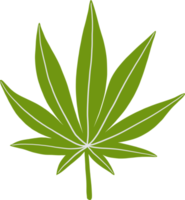 simplicidad hoja de cannabis dibujo a mano alzada diseño plano. png