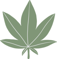 simplicidad hoja de cannabis dibujo a mano alzada diseño plano. png