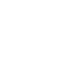 feuilles de palmier sur fond transparent png