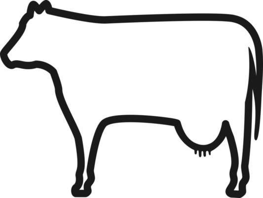 Cow Outline PNGs For Free Download Cow Icon Line Design Png