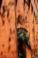 shadows of a palm tree, and plants on pigmented apparent concrete columns, background, mexico photo