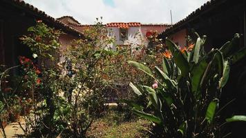 stone fountain, in old mexican house, latin america, with decorated tiles, roof tiles, surrounding vegetation photo
