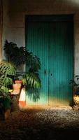 old typical vintage wooden door, monstera deliciosa, Ceriman, shadows and lights photo