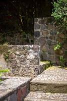 old abandoned building, nature grows back brick photo