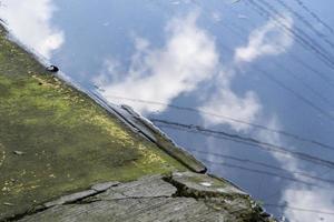 charco en la calle después de la lluvia, refleja el cielo, piso de concreto lleno de listones y cables mexico foto