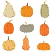 Vector set of colorful pumpkins isolated on a white background.