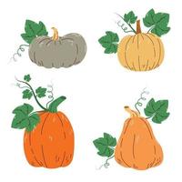 Vector set of colorful pumpkins with leaves isolated on a white background.