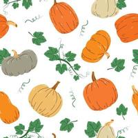 Pumpkin seamless pattern. Pumpkin background for Harvest festival or Thanksgiving day. vector