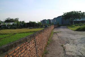 a long wall with red bricks on the edge of a rice field photo