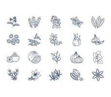 Herbs and Spices icon set vector