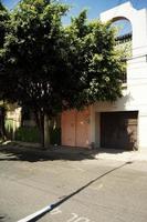 facade of mexican houses in guadalajara, entrance of sheet painted pink photo