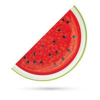 Watermelon slice. Watermelon Icon Isolated on White. vector