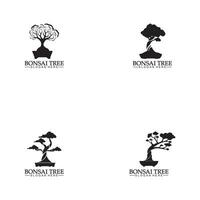 Bonsai logo design silhouette icon vector