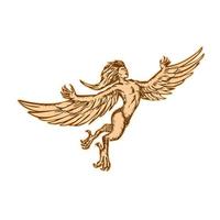 Harpy Flying Front Etching vector