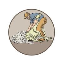 Farmworker Shearing Sheep Circle Etching vector