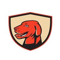 Labrador Golden Retriever Dog Head Shield Retro vector