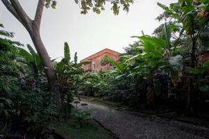 building is seen through vegetation, especially banana palm, the building is made of natural red brick photo