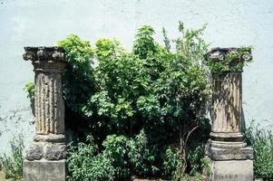 columna de piedra griega, plantas circundantes, estilo dorado, pared en el fondo, méxico foto