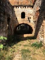 old abandoned building, nature grows back brick photo