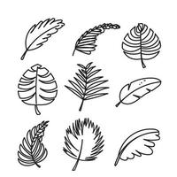 hand drawn doodle tropical leaves illustration vector