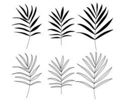 date palm. Tropical leaves silhouette. vector