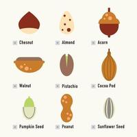 Flat Collection of Nuts vector