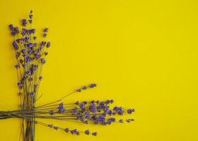 Fresh lavender flowers bouquet on yellow color background. Flatlay purple herbal flower blossom. Bouquet of lavender copy space for text. Lavender aromatherapy. photo