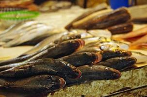 pescado fresco en un puesto de mercado en un bazar en beirut, líbano foto