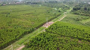 vista aérea de escavadeiras estão trabalhando nas fundações de postes de alta tensão e nas pernas de postes de alta tensão. vista superior da construção de linhas de energia na floresta. video