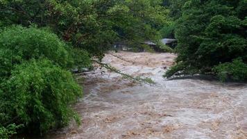 cascata cataratta nel foresta montagne. sporco flussi siamo fluente giù il montagna versante di il montagna foresta dopo pesante piove nel Tailandia. fiume alluvione, selettivo messa a fuoco. video