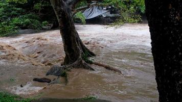 catarata de cascada en las montañas del bosque. arroyos sucios fluyen por las laderas de las montañas del bosque de montaña después de fuertes lluvias en tailandia. inundación del río, enfoque selectivo. video