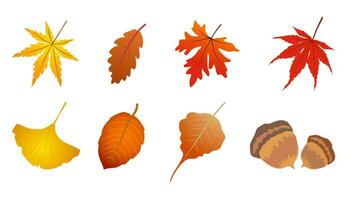 paquete de hojas de otoño archivo vectorial vector