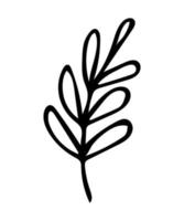 Hand drawn outline leaf, black botanical illustration isolated on white background. Doodle drawing vector