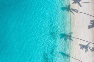 Beach palm trees on the sunny sandy beach and turquoise ocean from above. Amazing summer nature landscape. Stunning sunny beach scenery, relaxing peaceful and inspirational beach vacation template photo