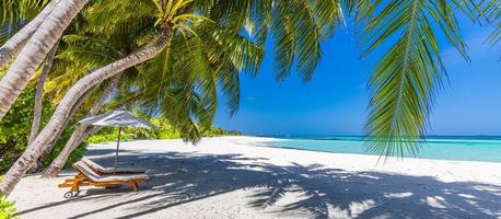 Beautiful tropical beach banner. White sand coco palm trees, couple chairs travel tourism wide panorama concept. Amazing beach landscape. Luxury island resort vacation holiday. Sunny paradise coast photo