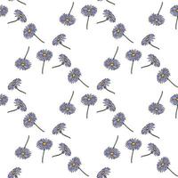 Seamless pattern with creative aster dumosus Blaubox on white background. Vector image.