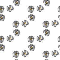 Seamless pattern with awesome chamomile on white background. Vector image.