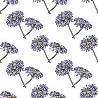 Seamless pattern with flowers aster dumosus Blaubox on white background. Vector image.