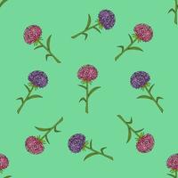 Seamless pattern with aster flowers on green background. Vector image.