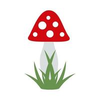 Toadstool on white background. Vector image.